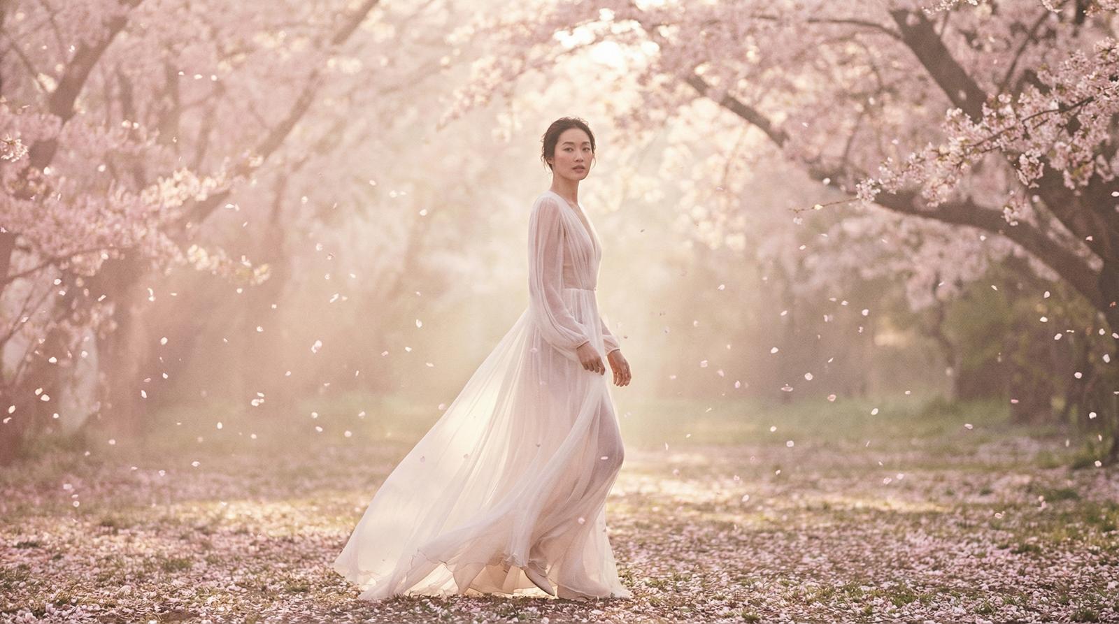 网红主播樱花季唯美视频